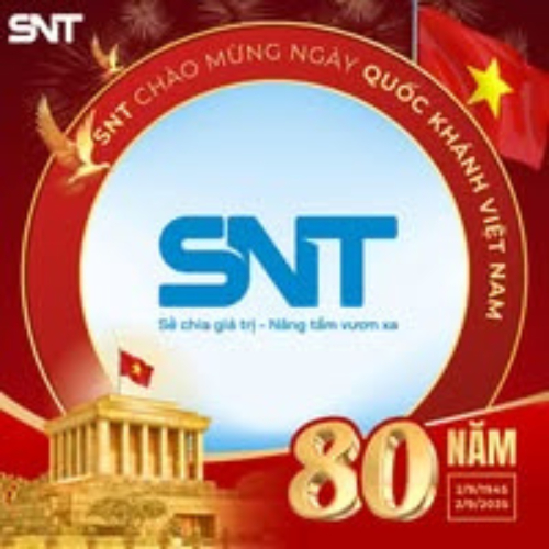 Công Ty Cổ Phần Tự Động Hóa Và Xây Lắp Điện SNT